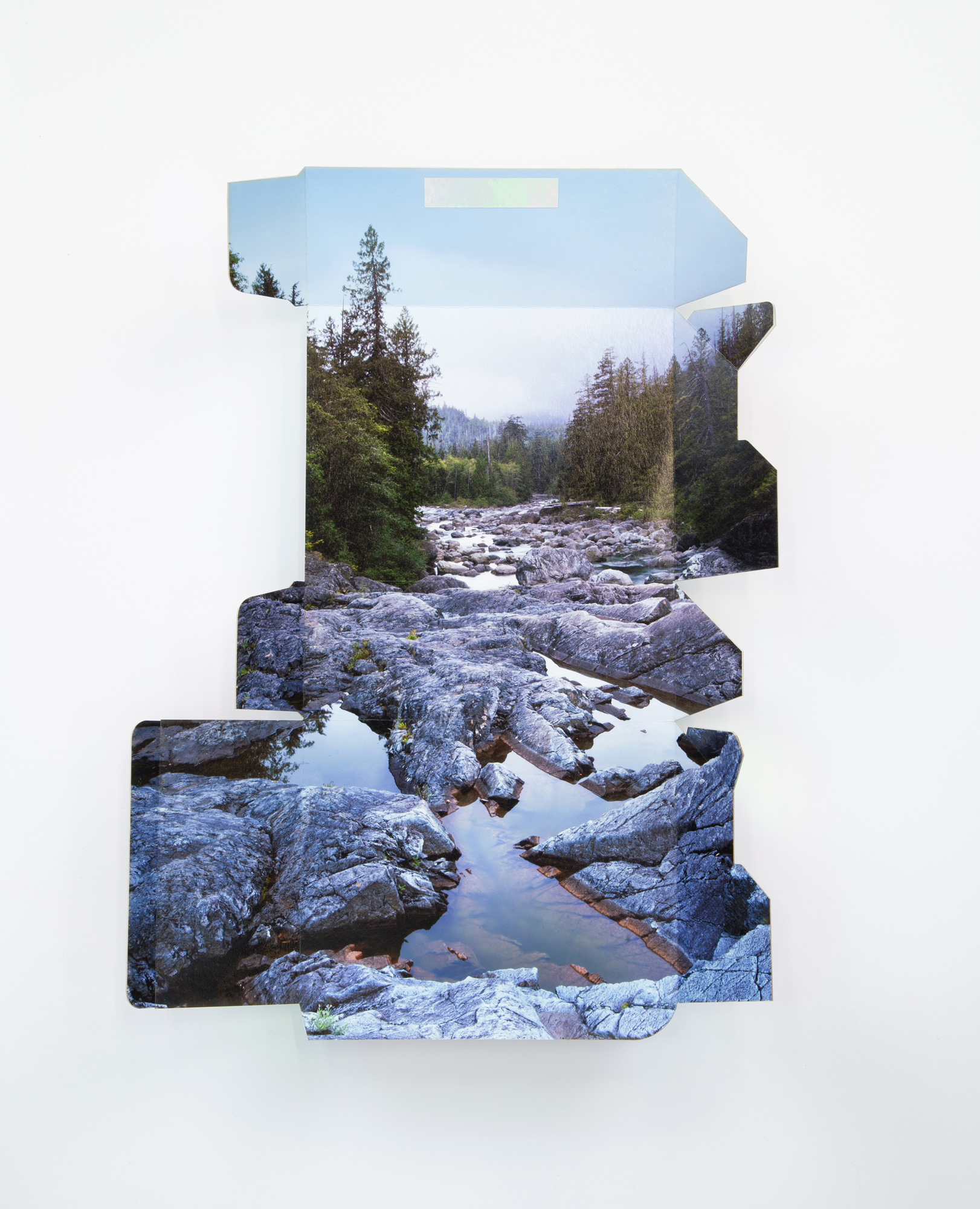 Forest Kelley, Virtual Worker Diaries